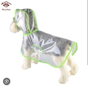 áo mưa cho cún yêu