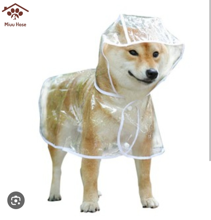 áo mưa cho cún yêu